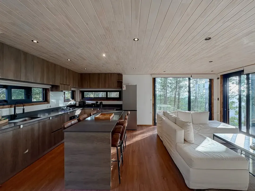 Living y cocina integrados